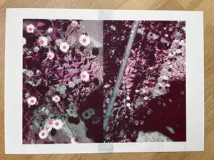 Additional project image