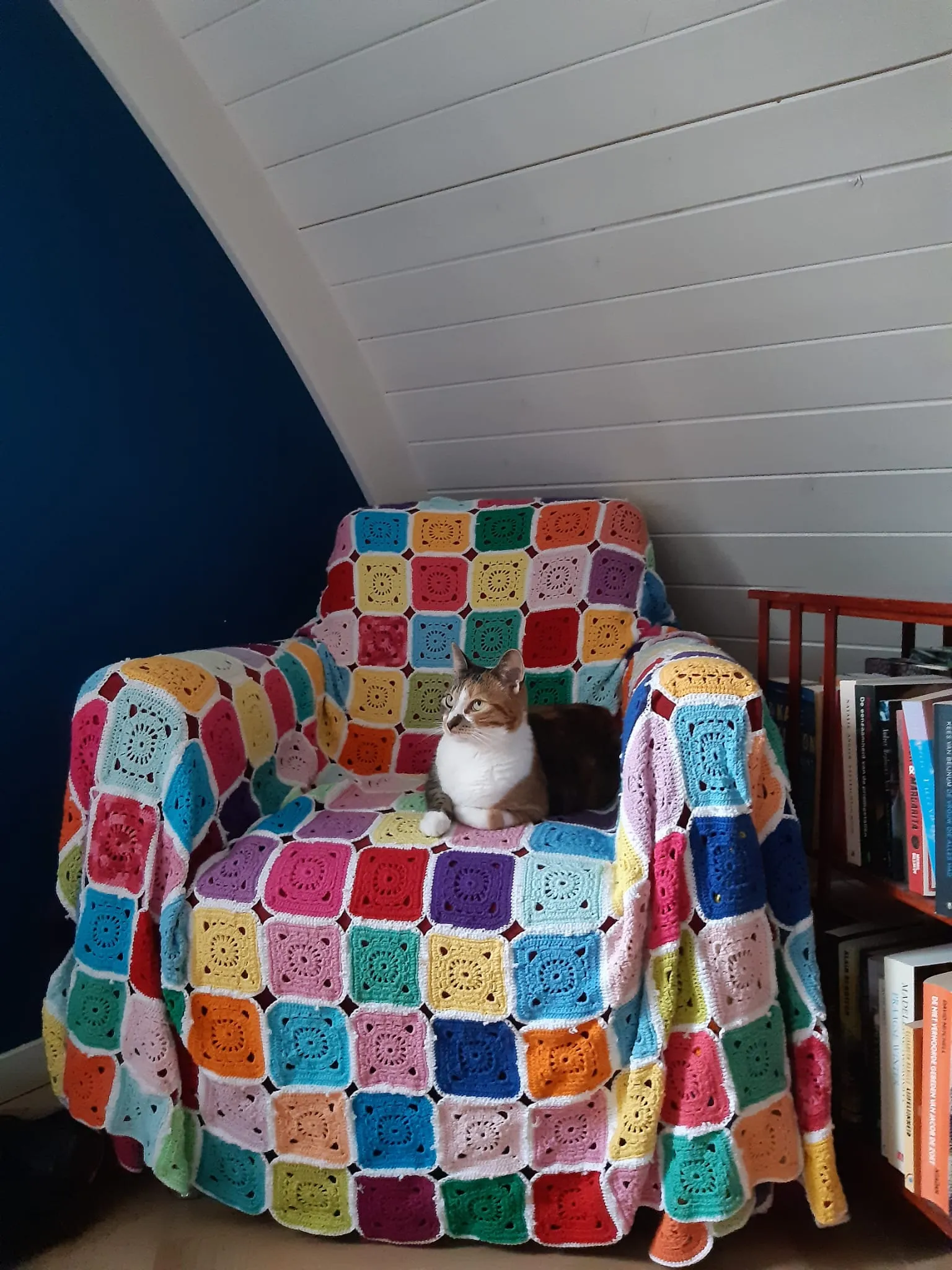 Additional project image