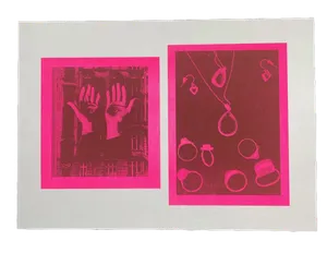 Additional project image